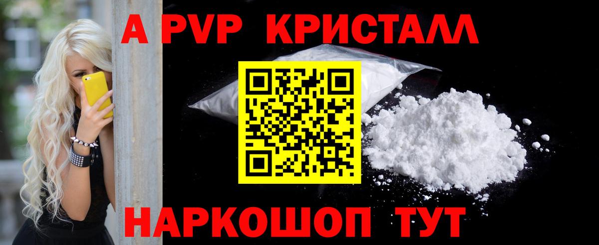 А ПВП СК Новозыбков