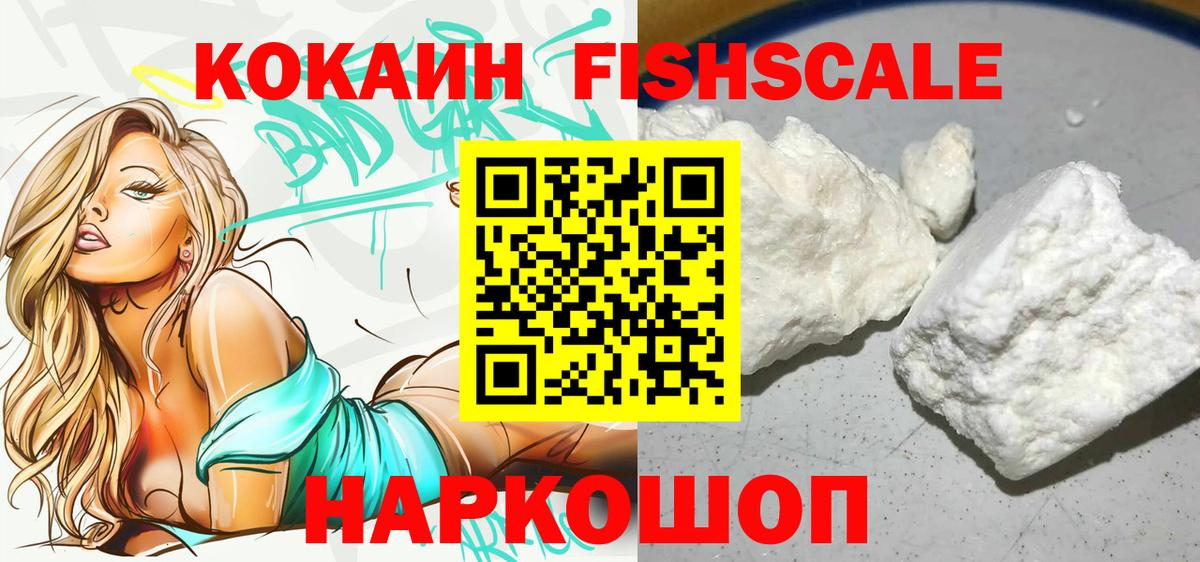 Cocaine Fish Scale  КОКАИН  Вход с VPN  Новозыбков  купить наркоту  Кокаин 97% 