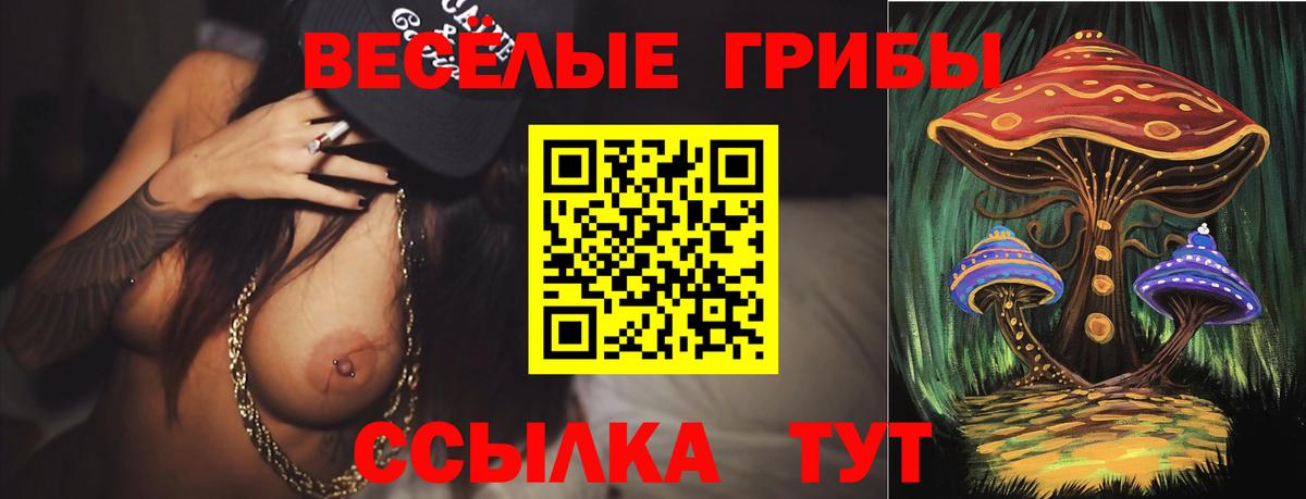 Галлюциногенные грибы GOLDEN TEACHER  Галлюциногенные грибы Psilocybine cubensis  Новозыбков  Вход с VPN 